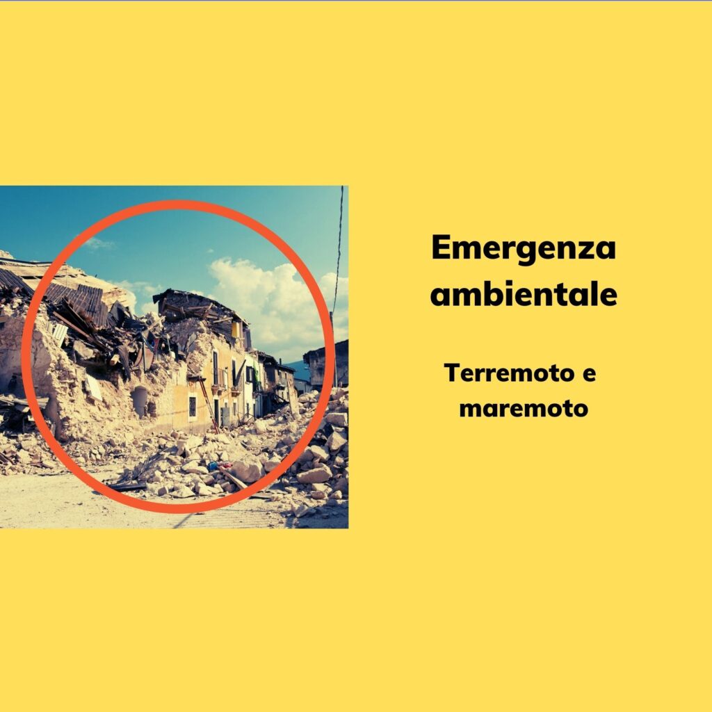 Emergenza Ambientale: Terremoto e Maremoto